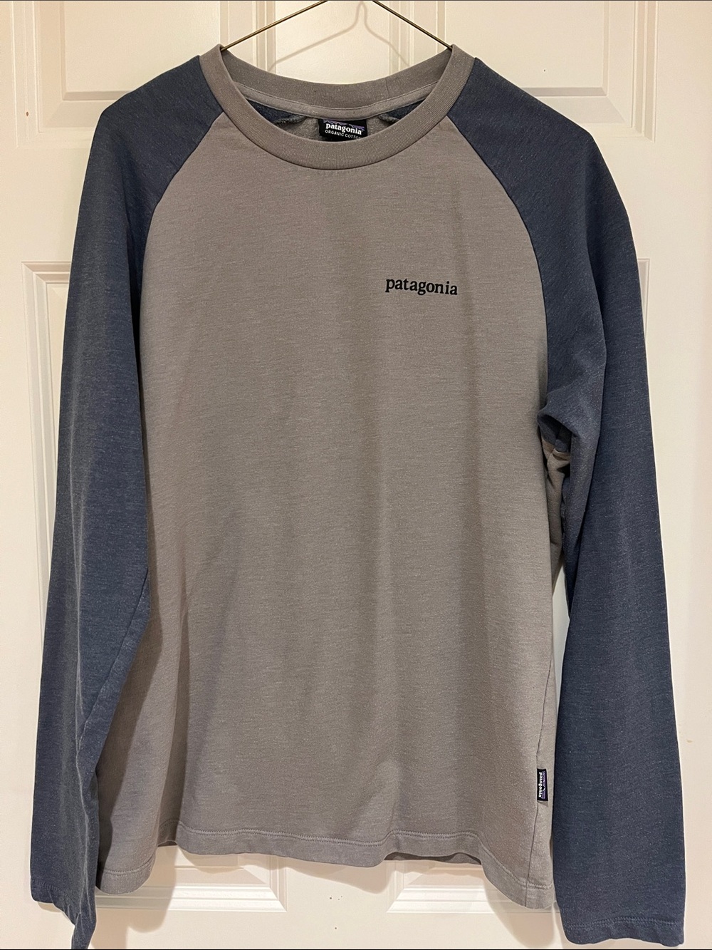 Patagonia Two-Tone Crewneck Shirt in Gray and Blue